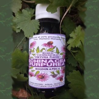 Tintura madre de echinacea purpúrea d3 dilucion homeopatica