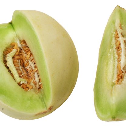 Melón