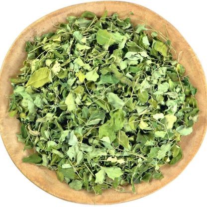 Moringa agroecológica en hebras