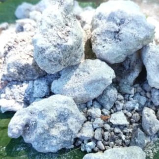 Copal azul peruano