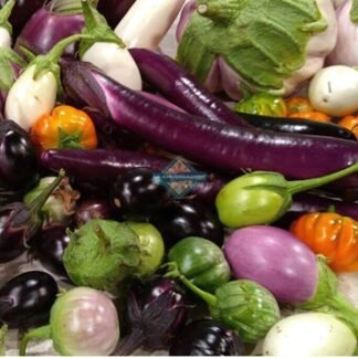 Berenjena orgánica mix exóticas