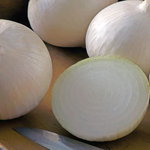 cebolla blanca orgánica