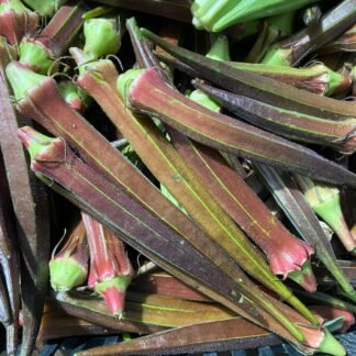 Chaucha okra orgánica