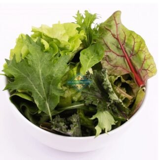 Mezclum de hojas lavadas, orgánicas, para ensaladas